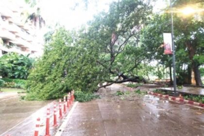 Heavy downpour throws normal life out of gear; Goa put on orange alert