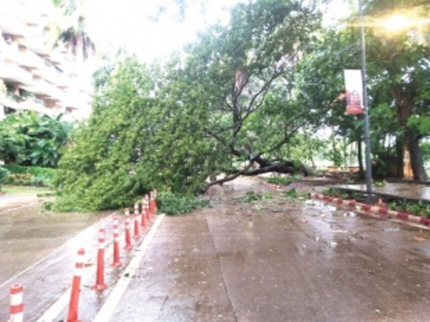 Heavy downpour throws normal life out of gear; Goa put on orange alert