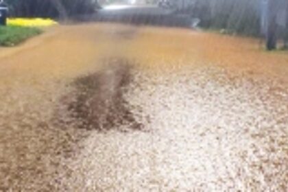 Heavy downpour turns Arambol roads into ‘nullahs’