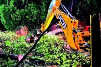Heavy rain continues to lash Goa, widespread damage reported
