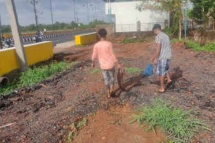 Heavy rainfall causes influx of catfish near Bodgeshwar Temple, Mapusa