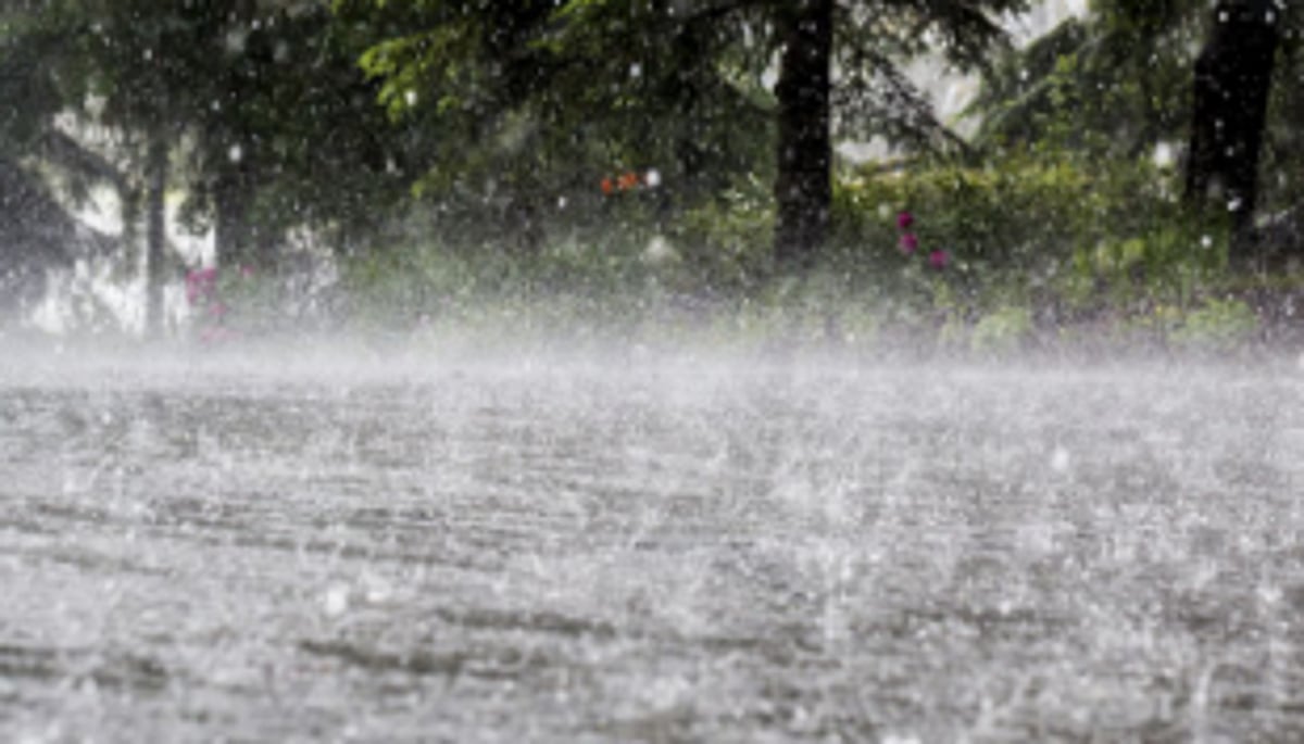 Heavy rainfall in State till July 15: IMD