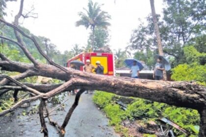 Heavy rains disrupt normal life in Bardez