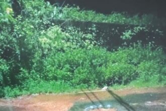 Heavy rains expose deficiency in sewage network at Raia village