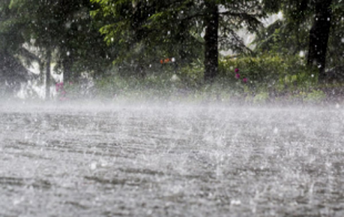 Heavy rains likely till July 2, says IMD