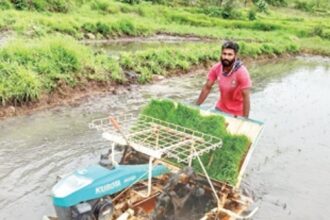 Heavy rains  pelt down lives of farmers  as their ready-to-harvest  fields are left inundated