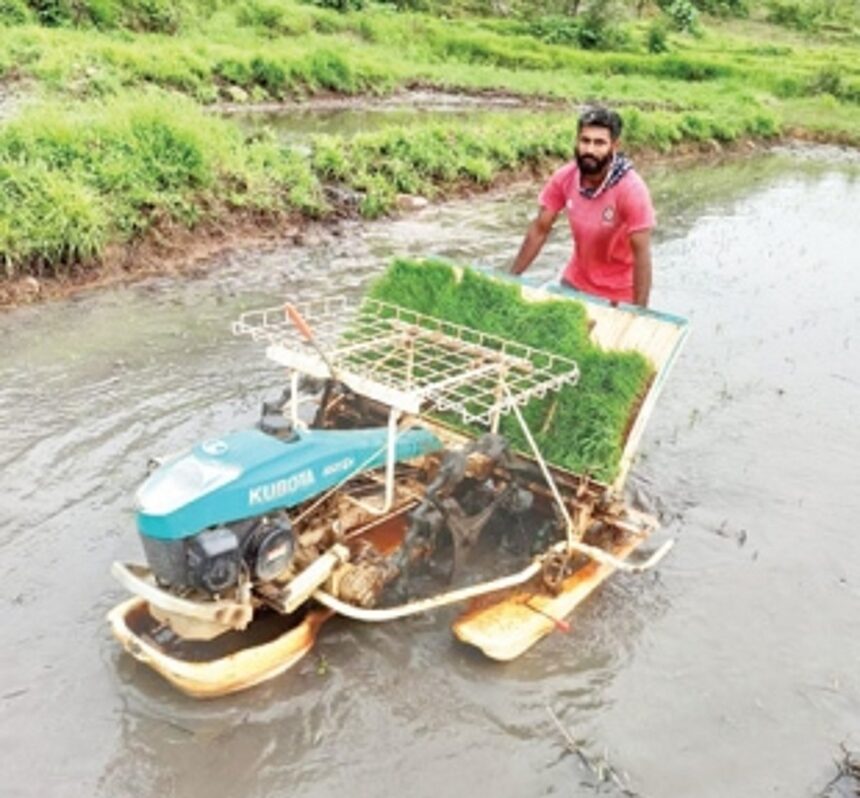 Heavy rains pelt down lives of farmers as their ready-to-harvest fields are left inundated