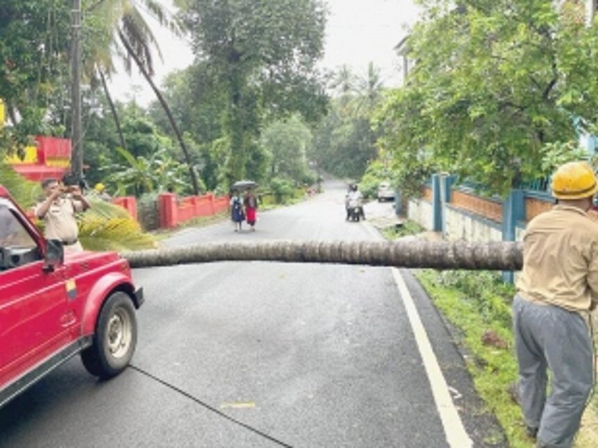Heavy rains, strong winds uproot 63 trees in Ponda