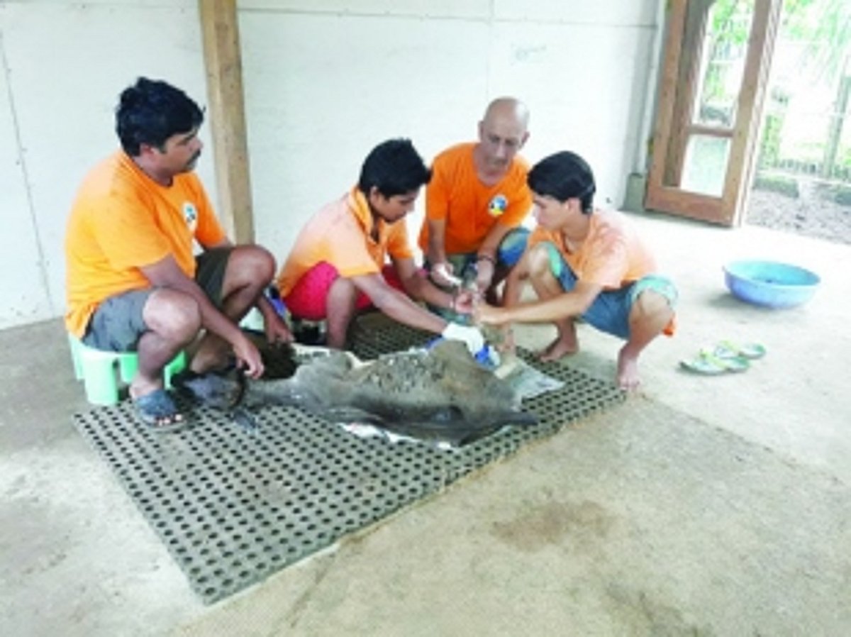 Helping them WAG their tails