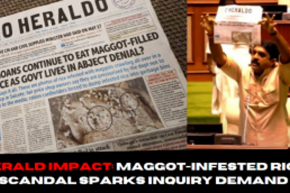 Herald Impact: Maggot-Infested Rice Scandal Sparks Inquiry Demand