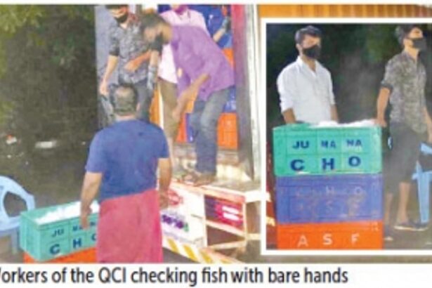 Herald zooms to Polem check-post to check fish checking, exposes shocking sights