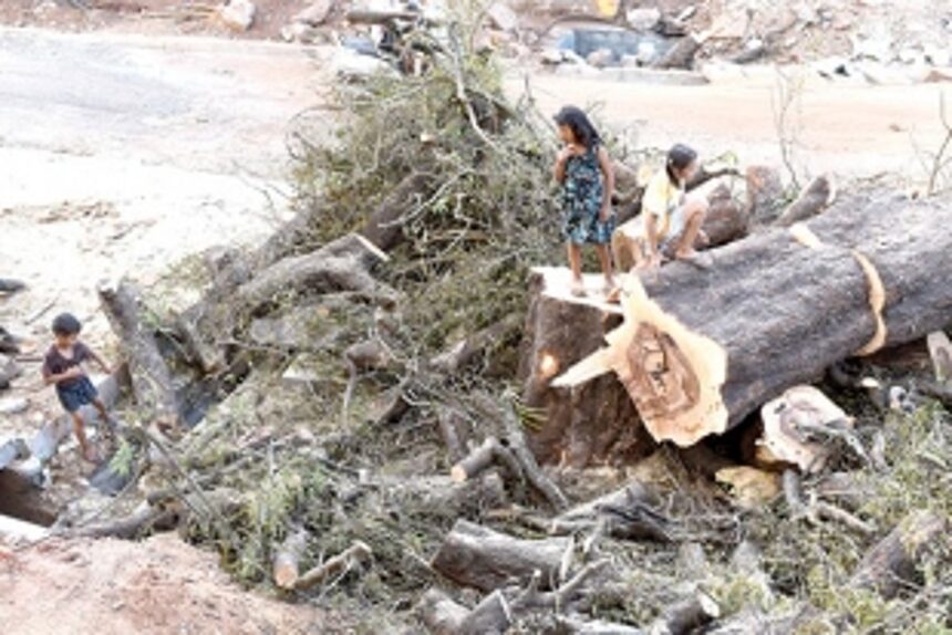 Heritage Action Group decry against defacement of Tonca pillar, cutting of tree