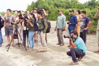 Hi Birders, The Goa Big Year 2017  is here!