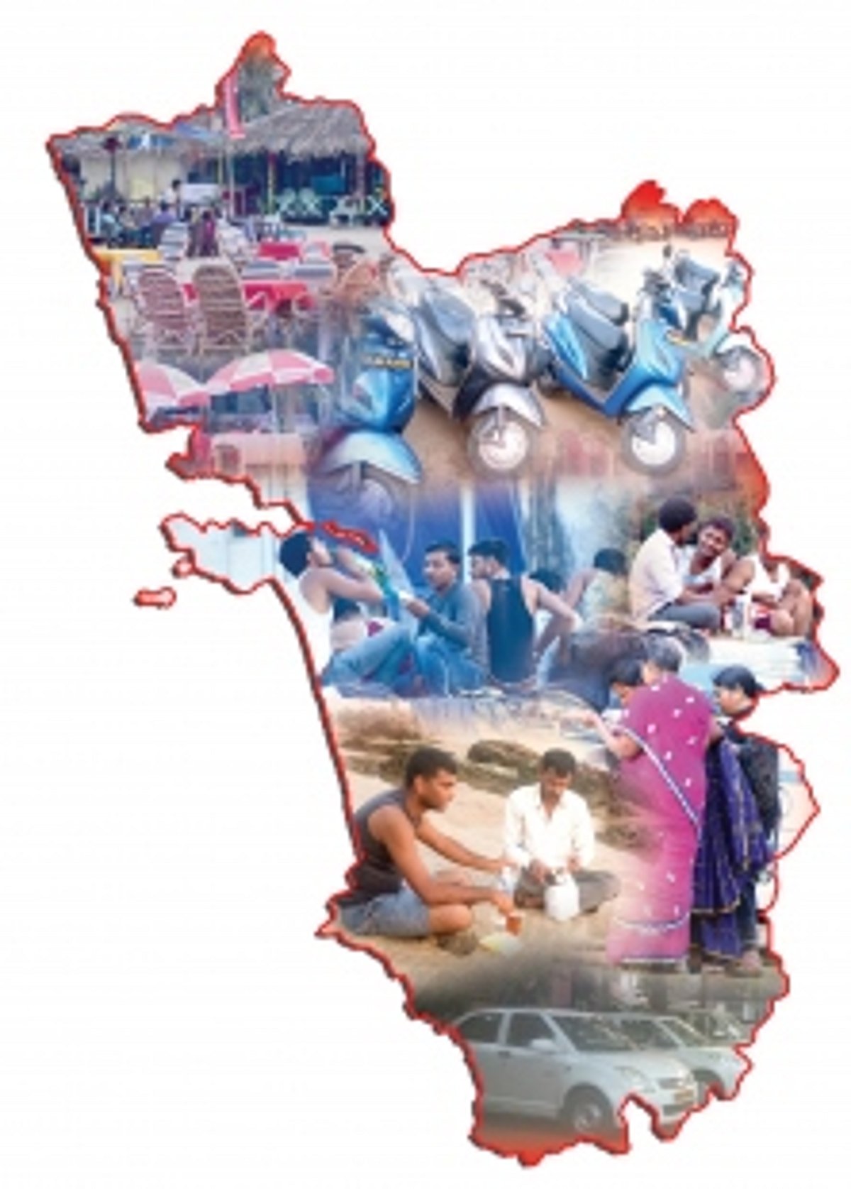 Hi, how did the season go?