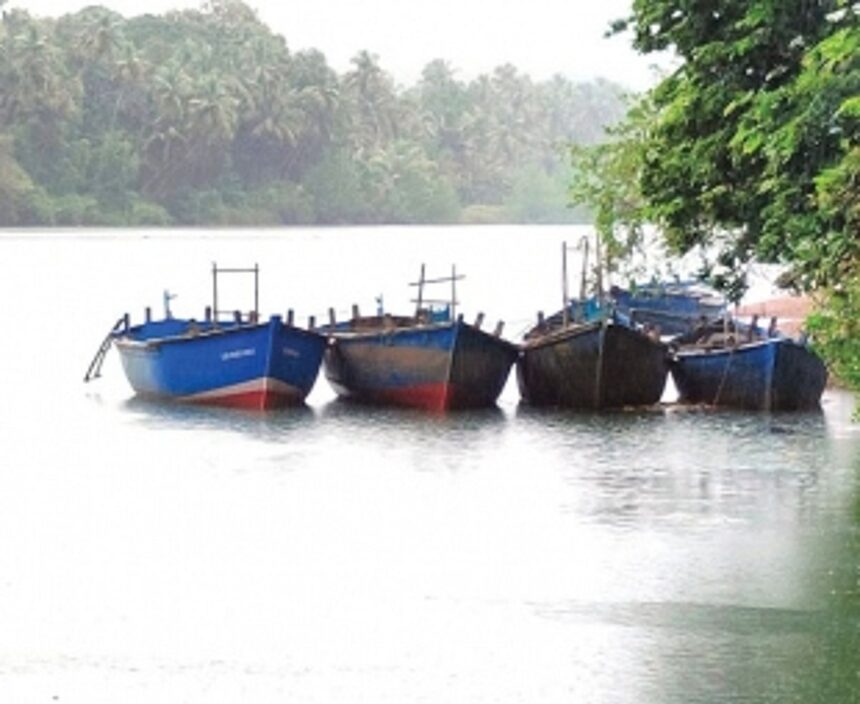 Hidden Illegal sand mining canoes dot the banks of Tiracol, Chapora rivers