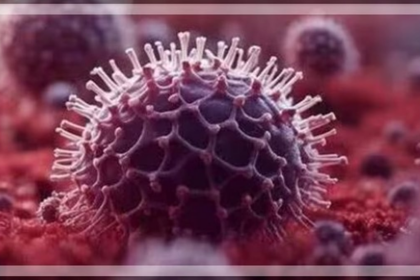 High Cost and Lack of Facilities Hinder HMPV Testing in Goa