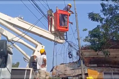 High Court Allows Electricity Department to Cut Unauthorized Cables, Dismissing Cable Operators' Plea