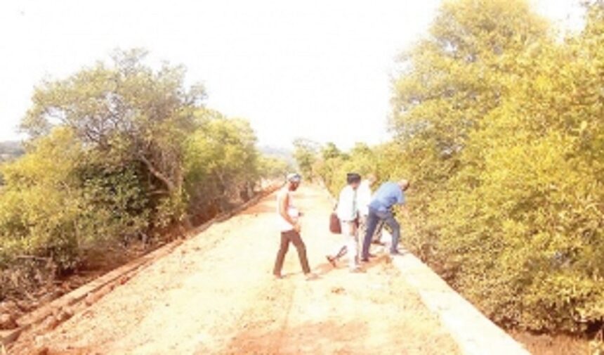 High Court directs GCZMA to conduct site inspection at Candolim bundh 1 High Court directs GCZMA to conduct site inspection at Candolim bundh