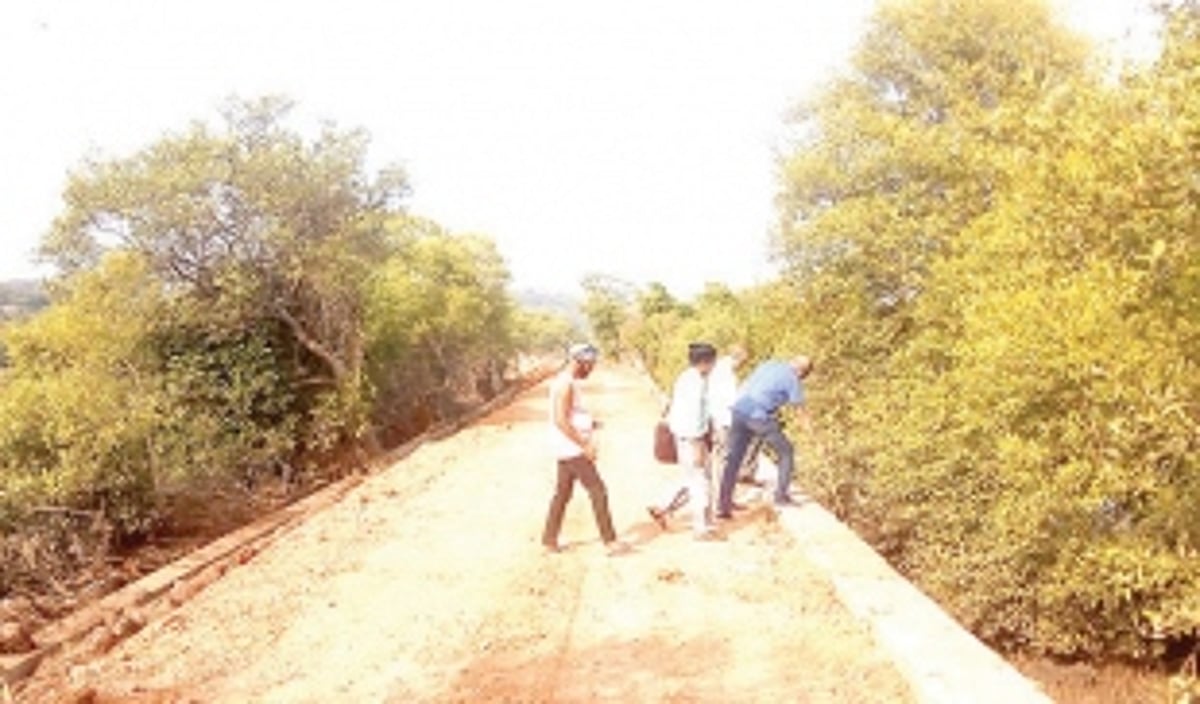 High Court directs GCZMA to conduct  site inspection at Candolim bundh