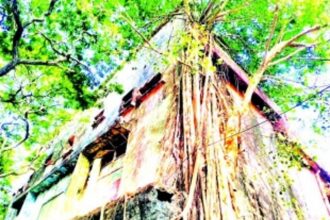 High Court dismisses plea challenging  CCP order to vacate National Theatre