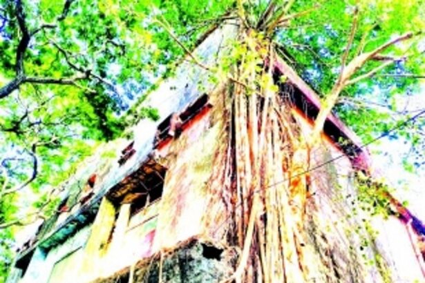 High Court dismisses plea challenging  CCP order to vacate National Theatre