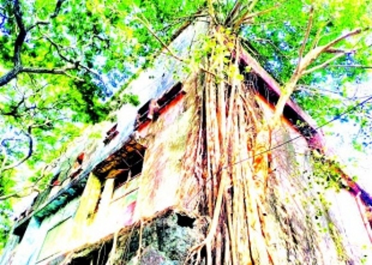 High Court dismisses plea challenging  CCP order to vacate National Theatre