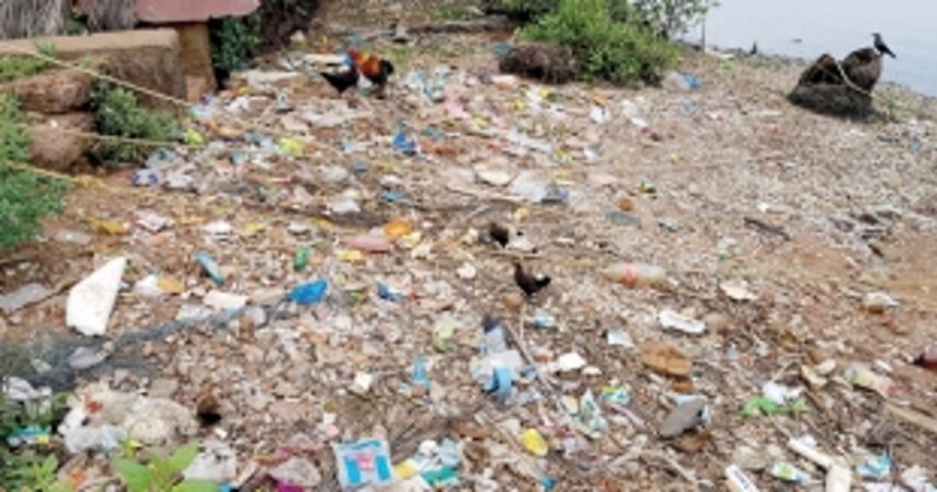Highly polluted arterial Talpona River crying for rescue