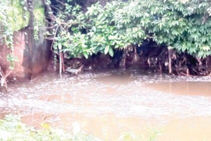 Highly toxic chemical waste released into main nullah at Bethora-Ponda