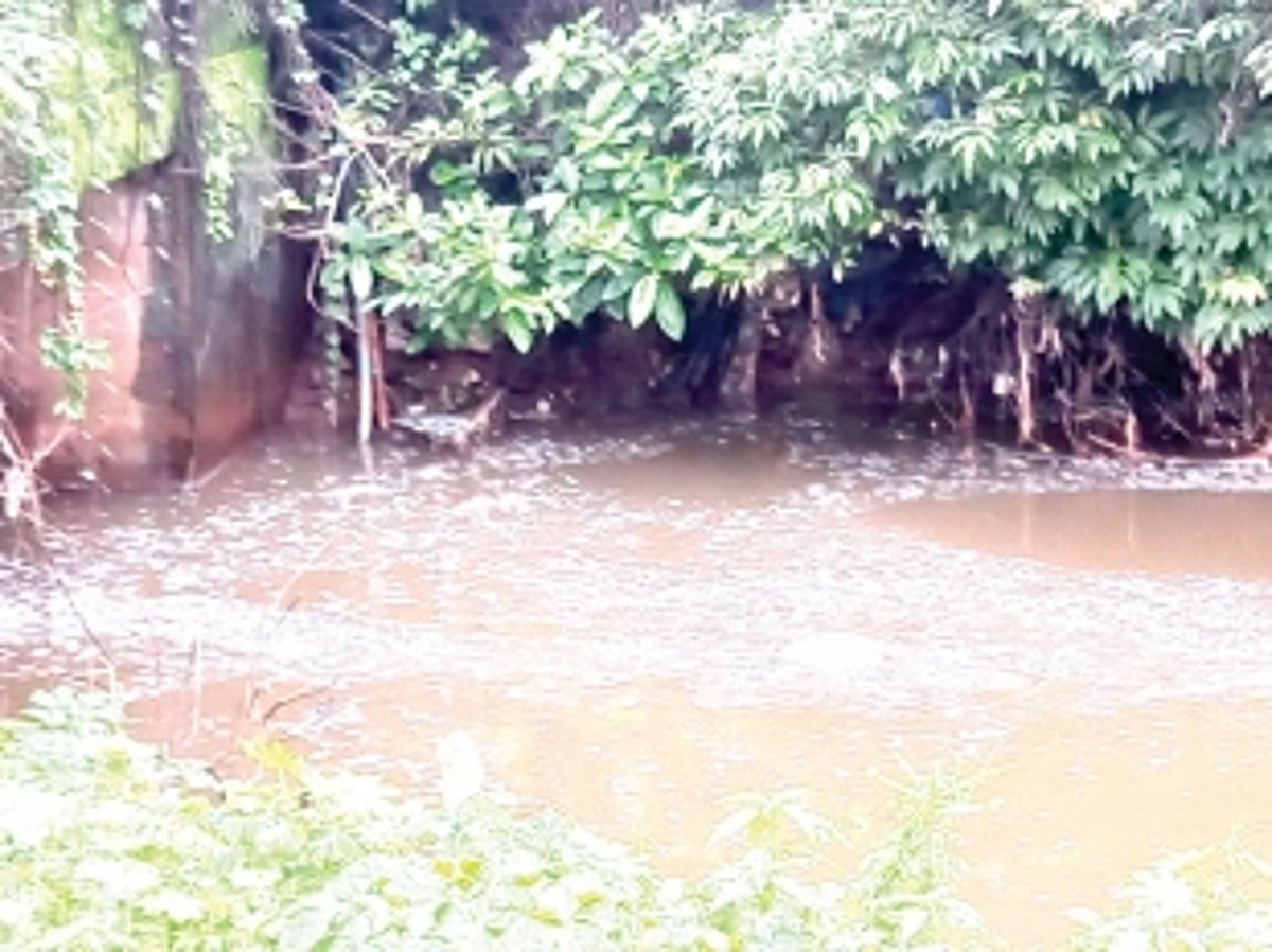 Highly toxic chemical waste released into main nullah at Bethora-Ponda