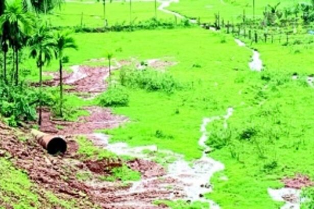 Highway expansion wreaks muddy havoc on cultivated fields in Kerya-Khandepar