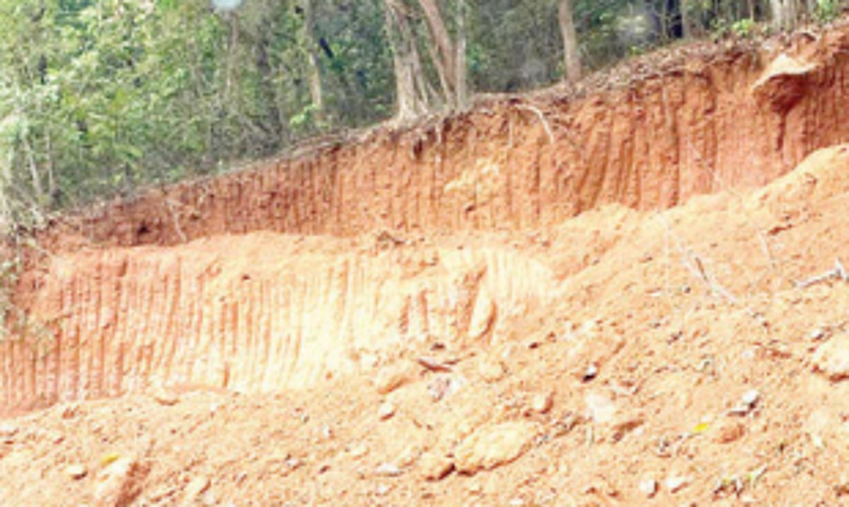 Hill cutting issue: Sao Jose de Areal p’yat provides alternatives to govt