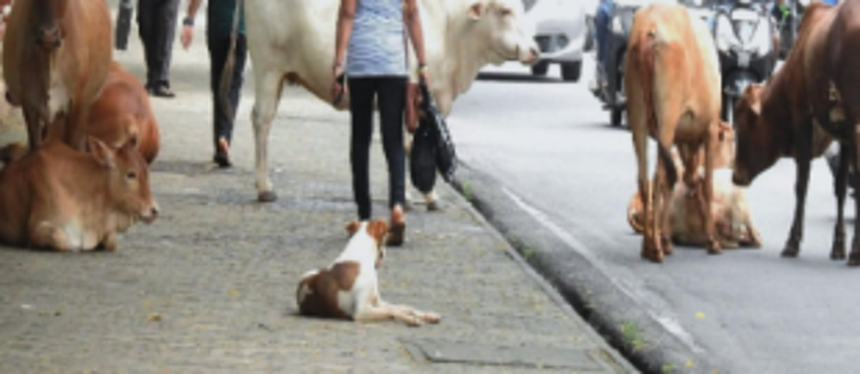 Hindrances on the footpath
