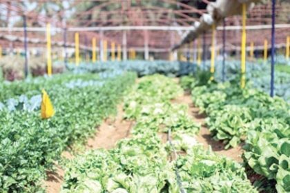 Holistic approach required to push organic farming in Goa
