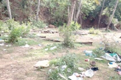 Hollant Beach without changing rooms and parking, is a garbage paradise