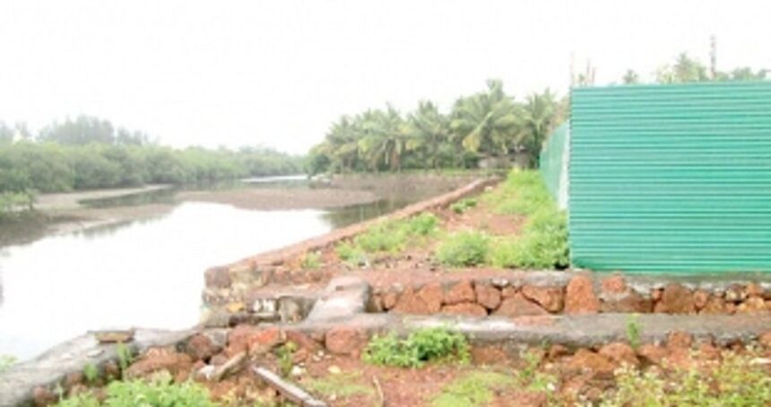 Hope Atmarnirbhar Bharat Swayampurna Goa protects the villages’ essence