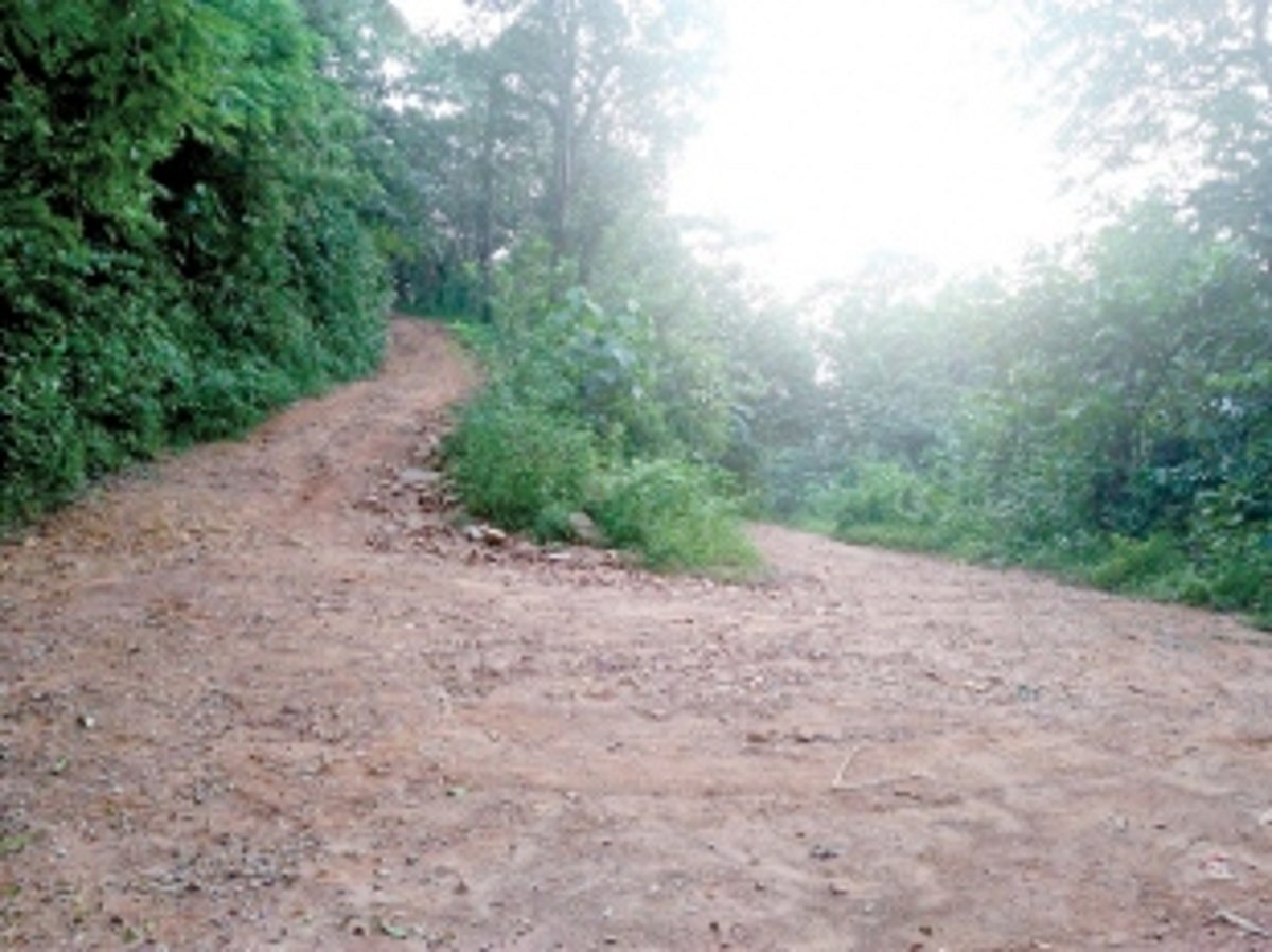 Hot-mix incomplete road leading to Siddhanath Hill:  Borim locals