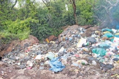 Hotel dump waste off Dabolim, has left Chicolna Bogmalo in a mess