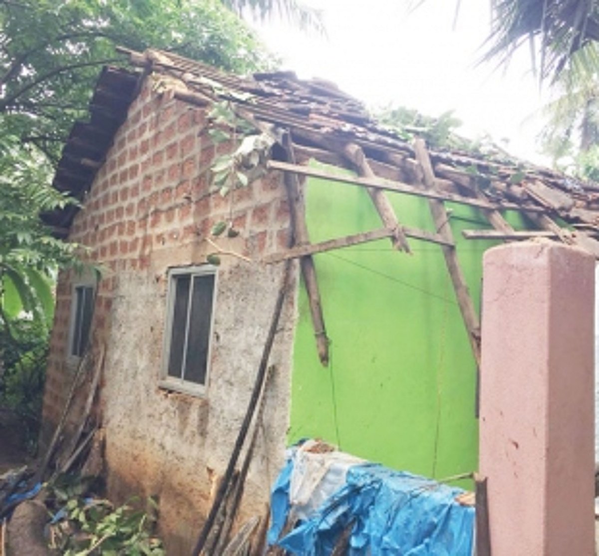 House damaged in tree fall at Sanvordem; Loss is Rs 1.5 lakh