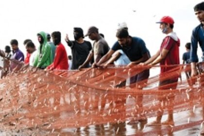 How Goa’s fishermen weather the ban