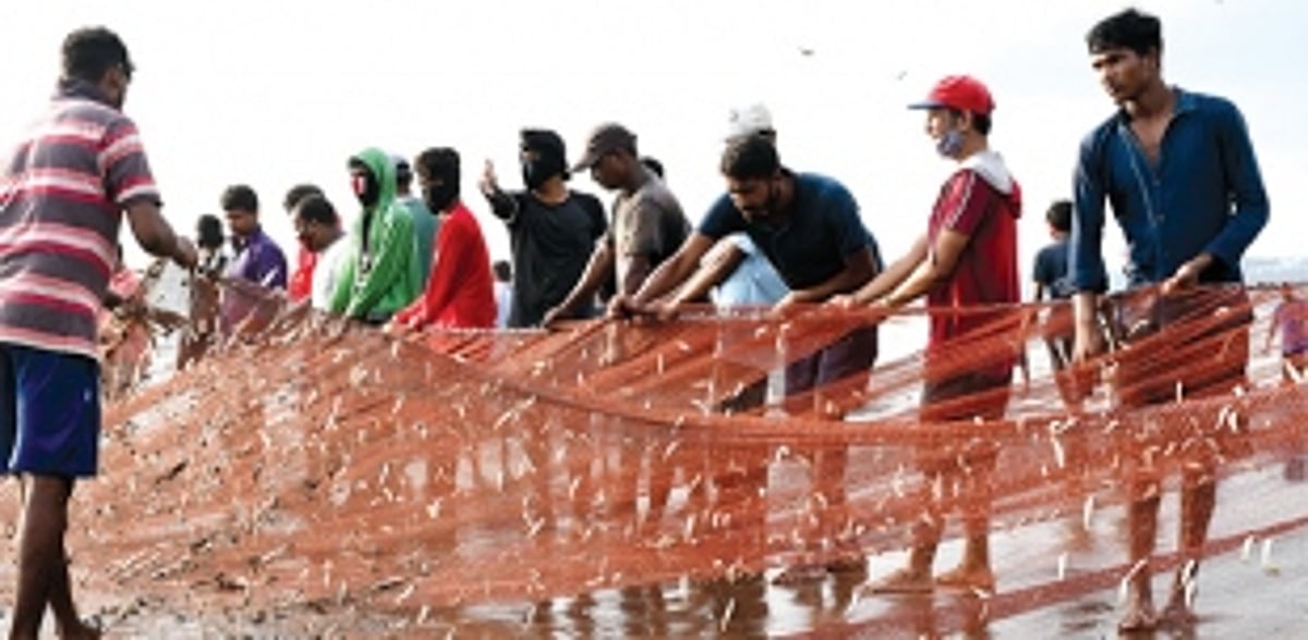 How Goa’s fishermen weather the ban