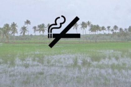 How do we extinguish the issue of cigarette smoking?