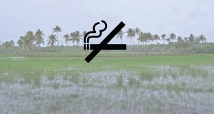 How do we extinguish the issue of cigarette smoking?