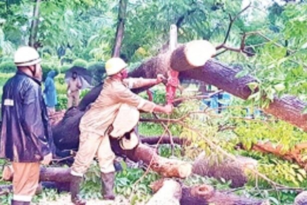 How the govt depts responded and continue their regular duty