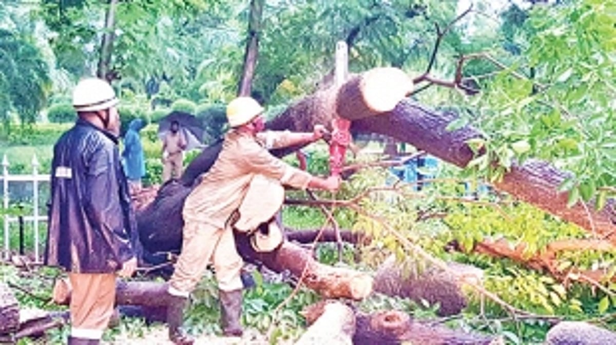 How the govt depts responded and continue their regular duty