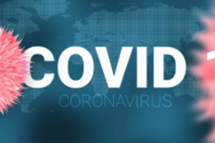 How to beat COVID-19? Survey or testing?