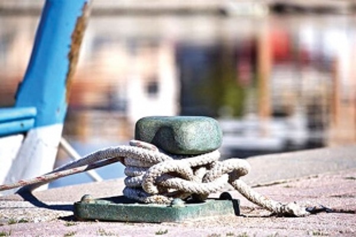 How to spot a  loyal employee