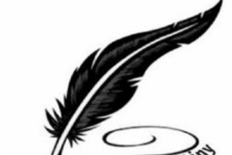 How was Faleiro expected to ‘deliver’ for TMC after it played cloak-and-dagger politics with him?