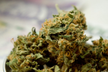 Hubli native held  with ganja