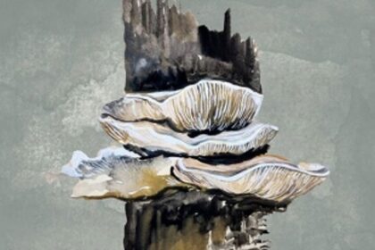 Hues of a Goa under protest: Pen to paper, brush to canvas, signs on a petition