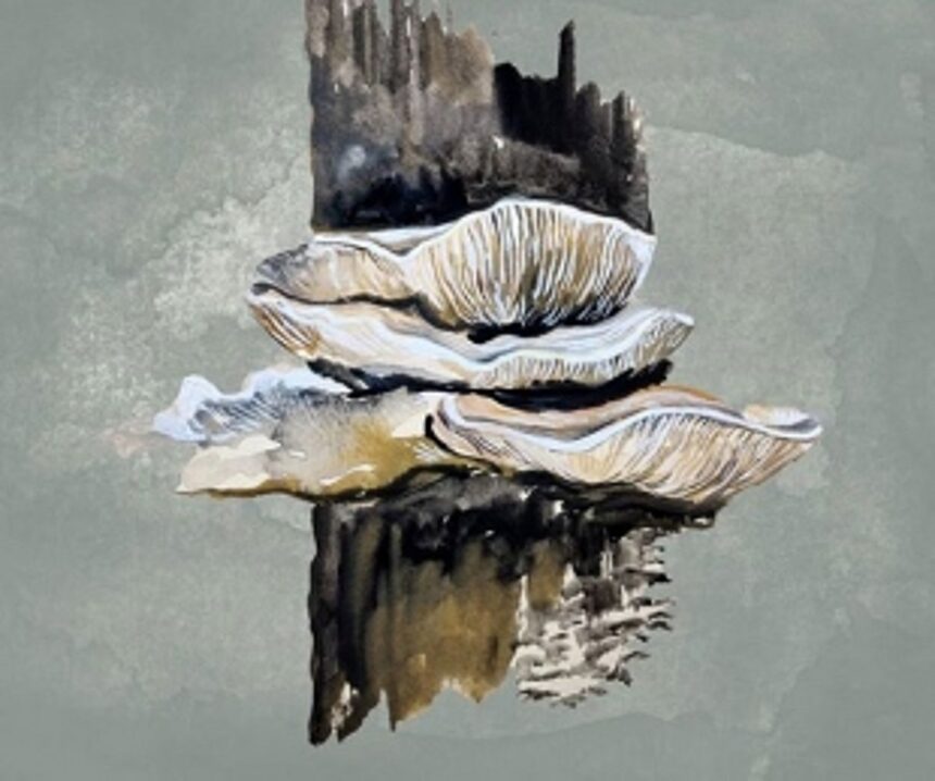 Hues of a Goa under protest: Pen to paper, brush to canvas, signs on a petition